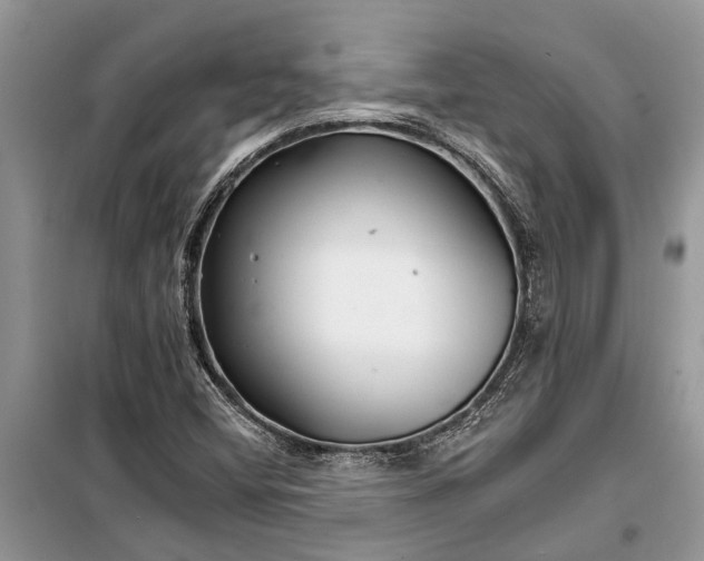 X0000097951404200804070953