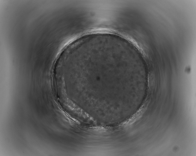 X0000097951405200804070953