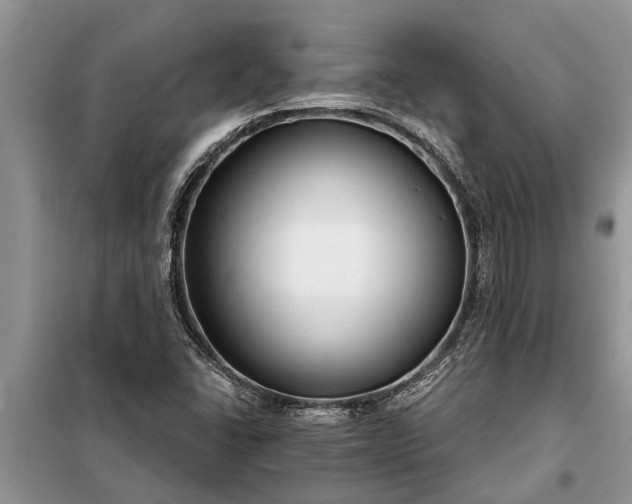 X0000097951406200804070953