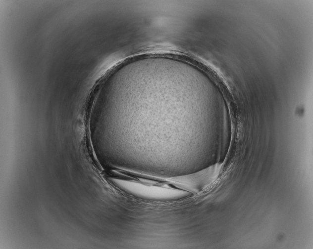 X0000097951407200804070953