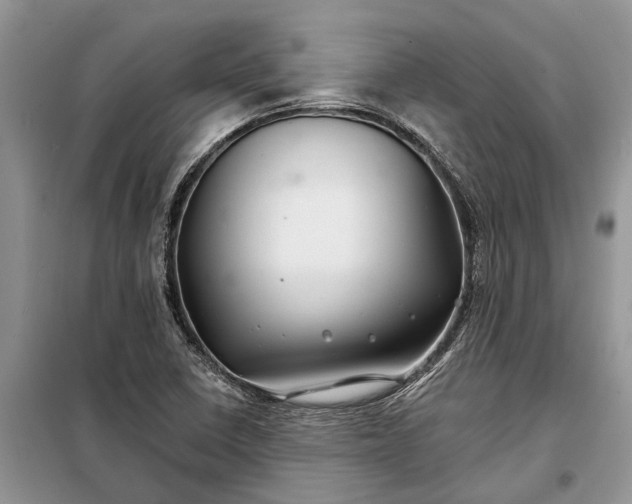 X0000097951410200804070953