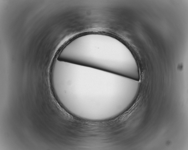 X0000097951412200804070953