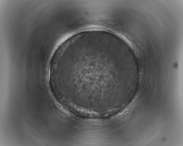 X0000097951413200804070953