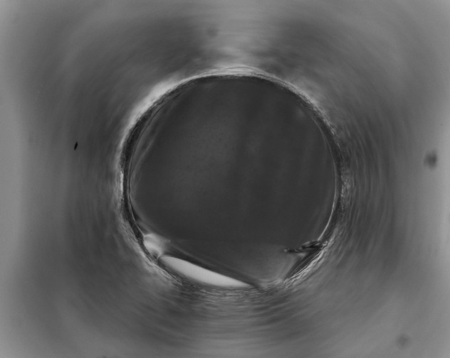 X0000097951414200804070953