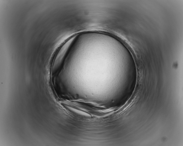 X0000097951415200804070953