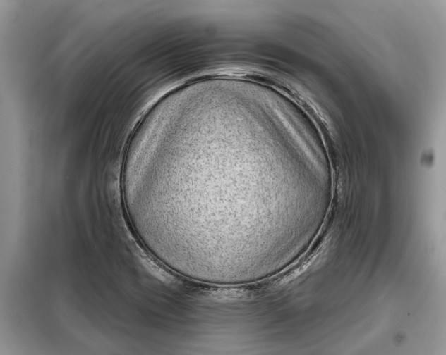 X0000097951417200804070953