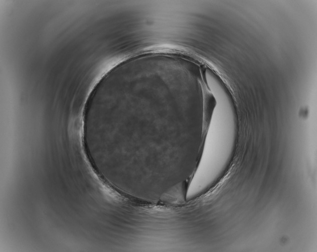 X0000097951418200804070953