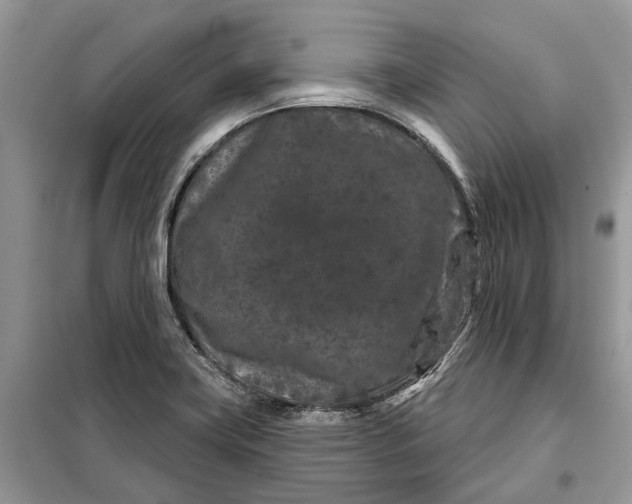 X0000097951419200804070953
