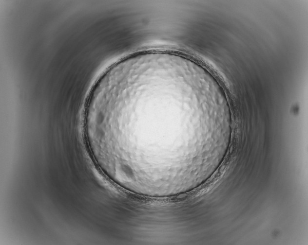 X0000097951421200804070953