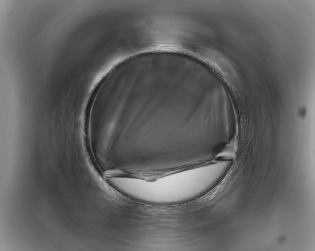 X0000097951422200804070953