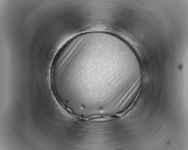 X0000097951423200804070953