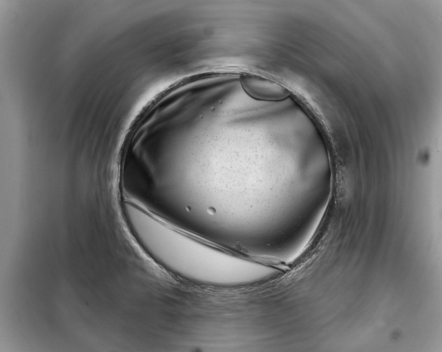 X0000097951424200804070953