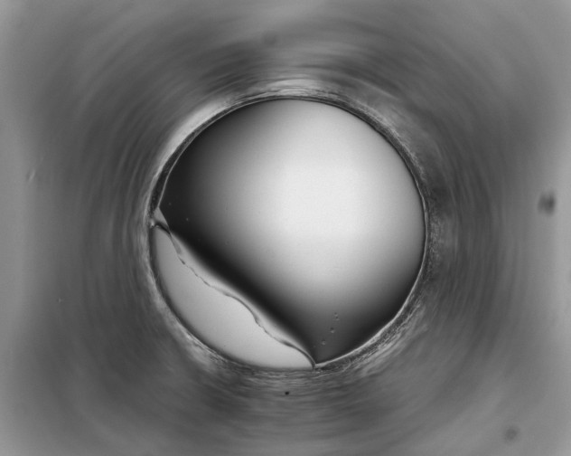 X0000097951426200804070953