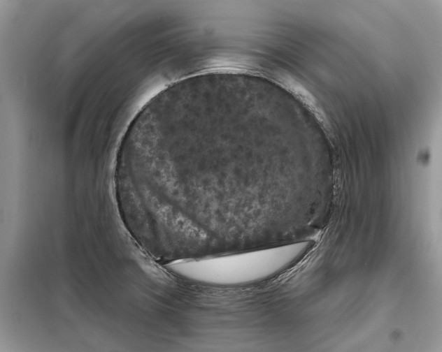 X0000097951427200804070953