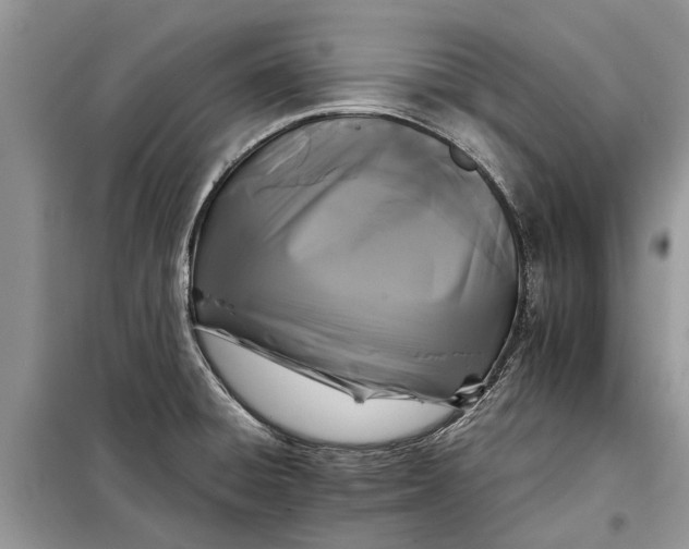 X0000097951428200804070953