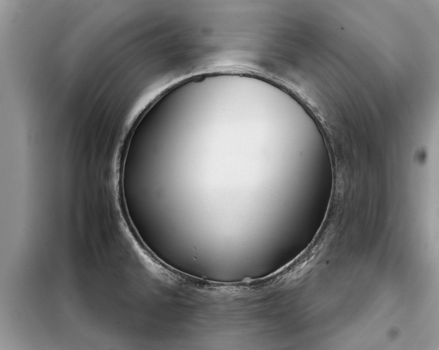 X0000097951430200804070953
