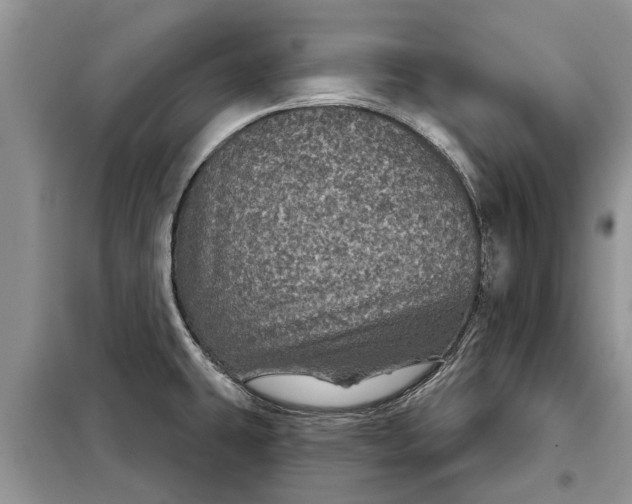 X0000097951431200804070953