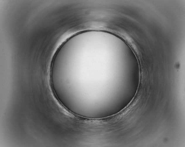 X0000097951432200804070953