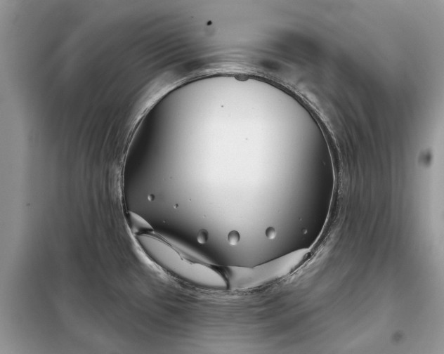 X0000097951433200804070953
