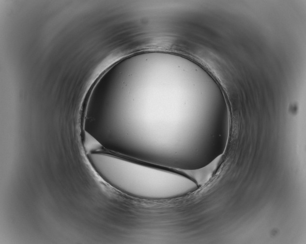 X0000097951434200804070953