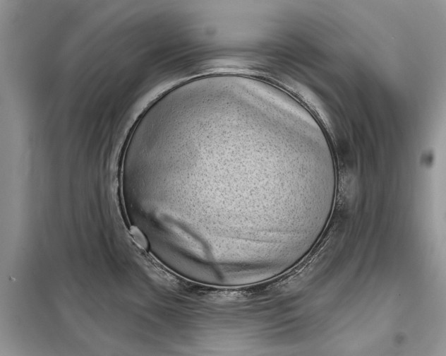 X0000097951435200804070953