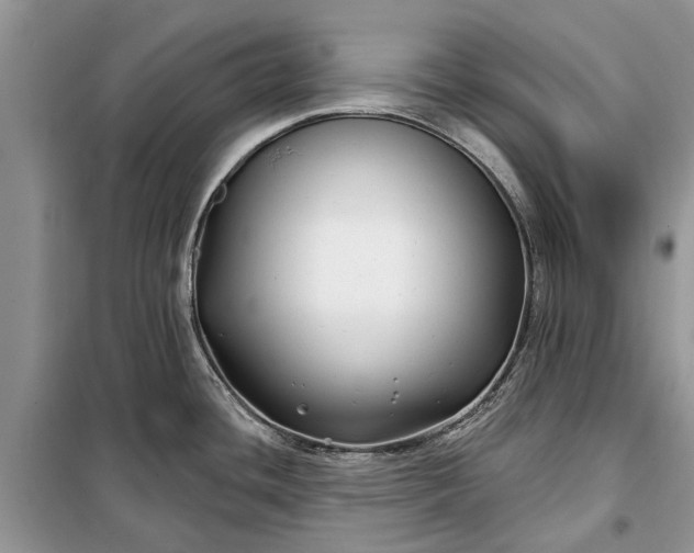 X0000097951436200804070953