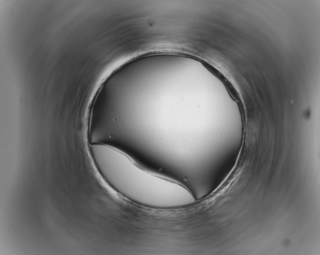 X0000097951437200804070953