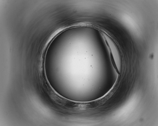 X0000097951438200804070953