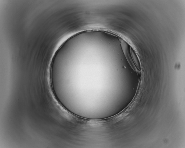 X0000097951440200804070953