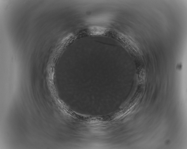X0000097951441200804070952