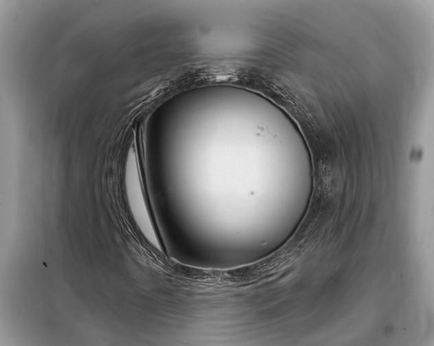 X0000097951442200804070952