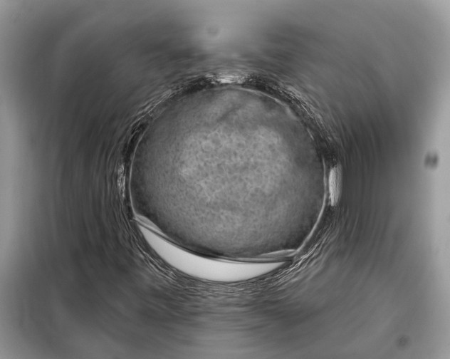 X0000097951443200804070952