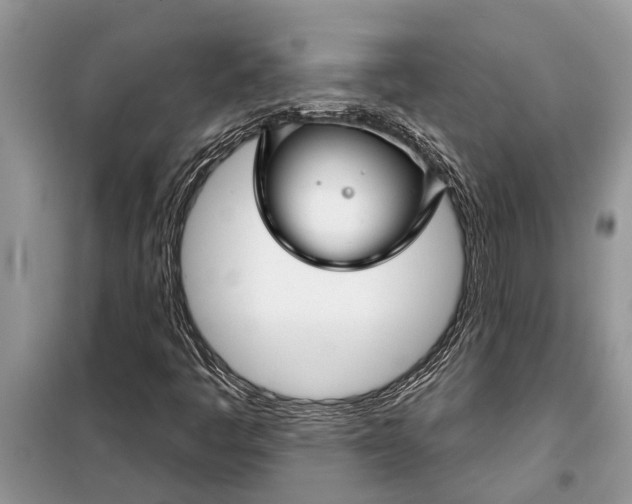X0000097951445200804070952