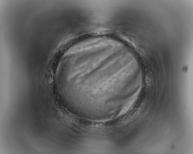 X0000097951447200804070952