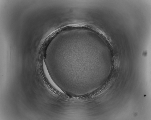 X0000097951448200804070952