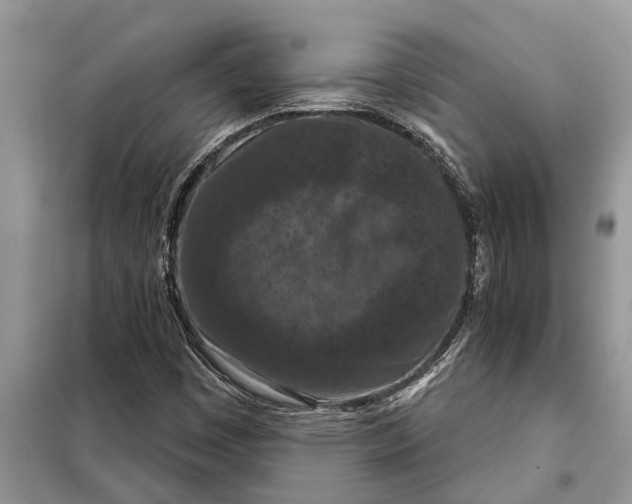 X0000097951449200804070952