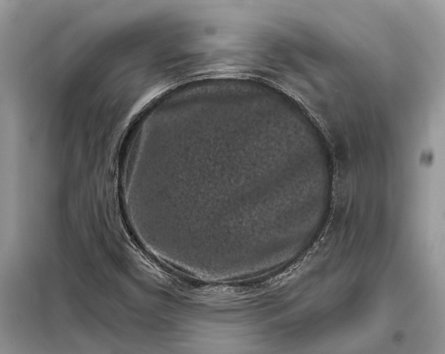 X0000097951450200804070952