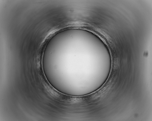 X0000097951451200804070952
