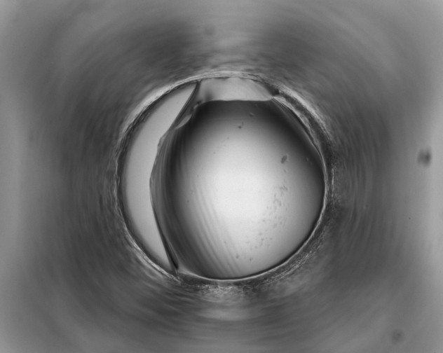 X0000097951452200804070952