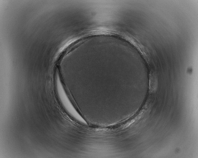 X0000097951453200804070952