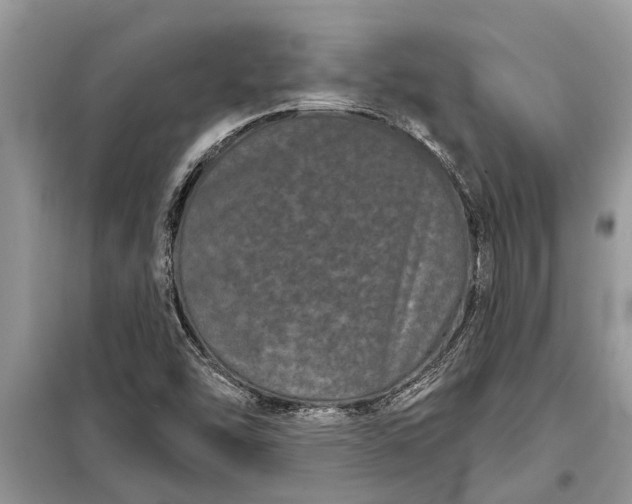 X0000097951454200804070952
