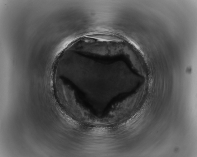 X0000097951455200804070952