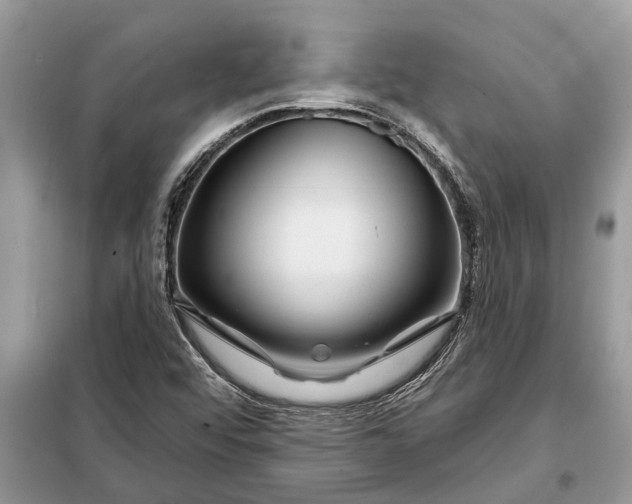 X0000097951456200804070952
