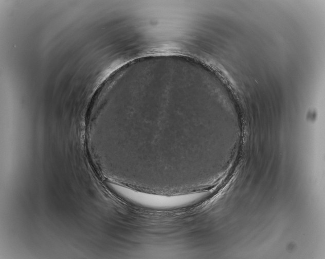 X0000097951457200804070952
