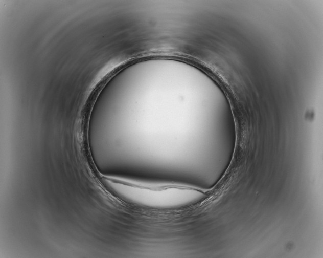 X0000097951458200804070952