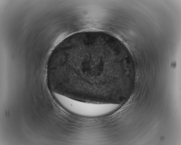 X0000097951459200804070952