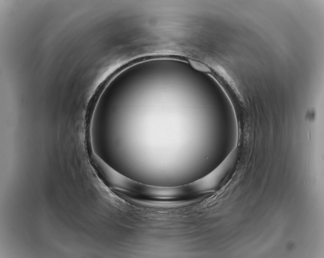 X0000097951460200804070952