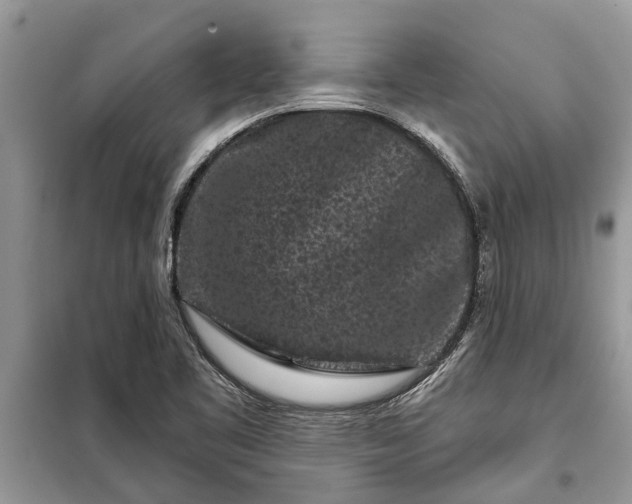 X0000097951461200804070952
