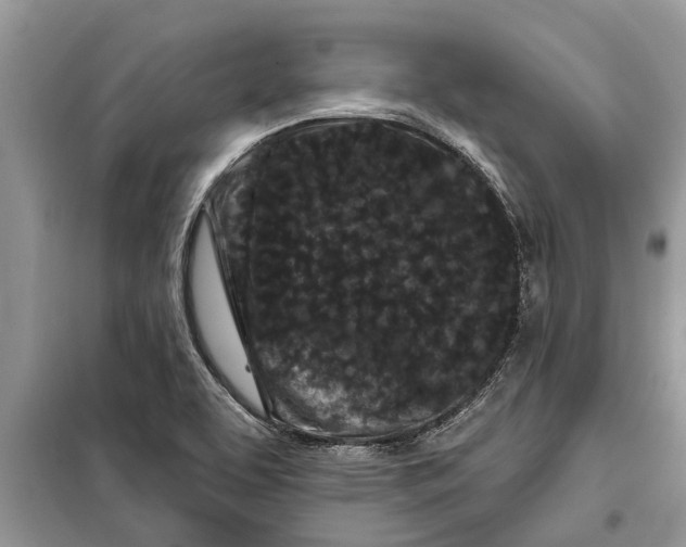 X0000097951463200804070952