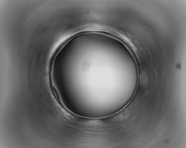 X0000097951464200804070952